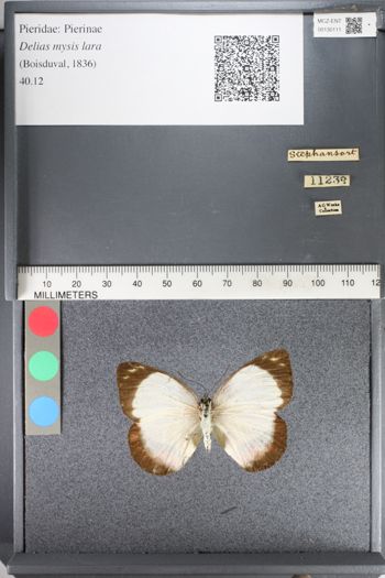 Media type: image;   Entomology 130111